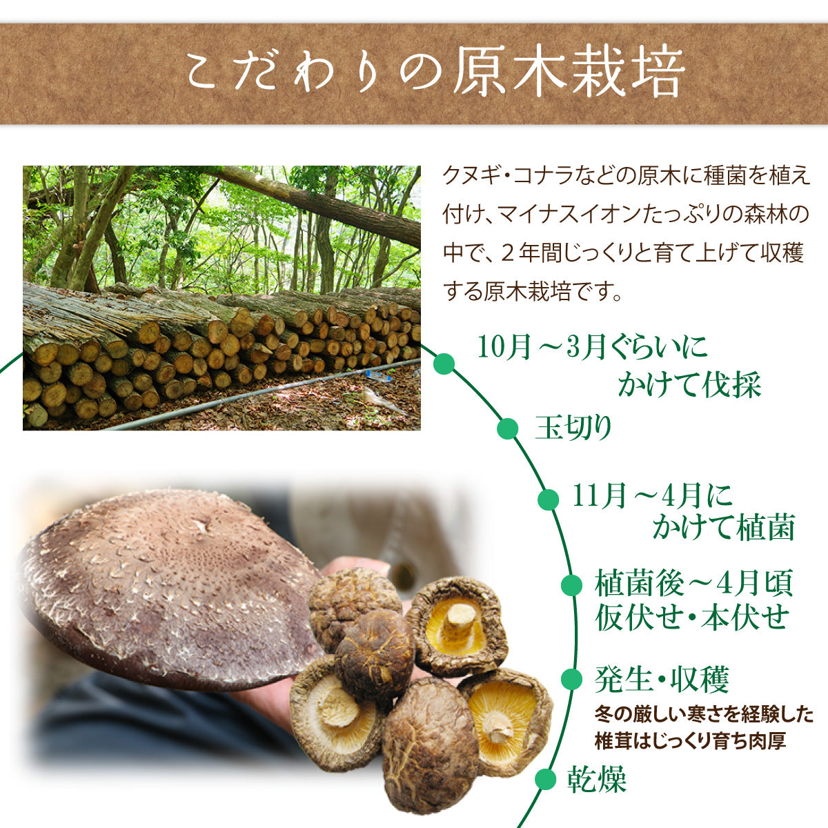 日本産木耳80g